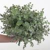 Artificial Eucalyptus with Stem 7 Forks Non-withering No Watering Photo Props Realistic Reusable Plastic Faux Green Plants Home Decoration Supplies
