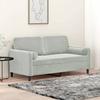 VidaXL 2-seater Sofa with Light Grey Pillows 140 Cm Velvet, Sofa, Loveseat, Living Room Sofa, Sofas, Sofa 3200881