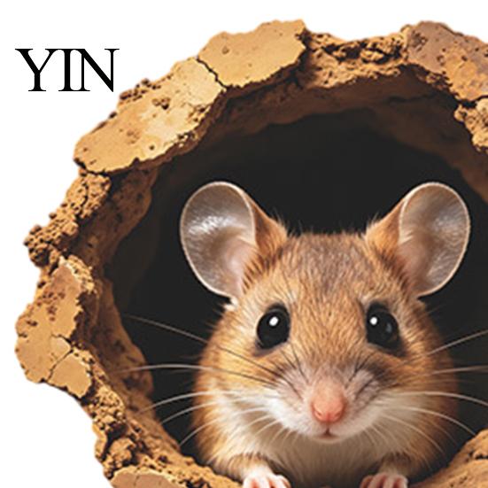 Waterproof Kitchen Backsplash Decor 3D Realistic Mouse Hole Wall Sticker, Cute Rat Burrow Decal, Self Adhesive Murals Self-Adhesive Removable