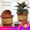 Extra-Large Purple Clay Ceramic Bonsai and Orchid Flower Pot