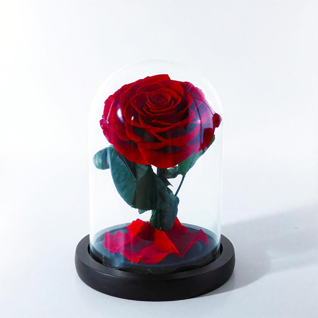 The Little Prince Immortal Flower Glass Cover Gift Box Valentine's Day Gift for Girlfriend Immortal Rose Valentine's Day Gift