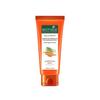 Carrot Sun Lotion 40+ SPF (50 Ml), Bio Carrot 40+ SPF UVA/UVB Sunscreen Ultra Soothing Face Lotion,