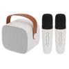 P2 Mini Karaoke Machine Портативная Bluetooth-колонка с беспроводным микрофоном для взрослых и детей, белая