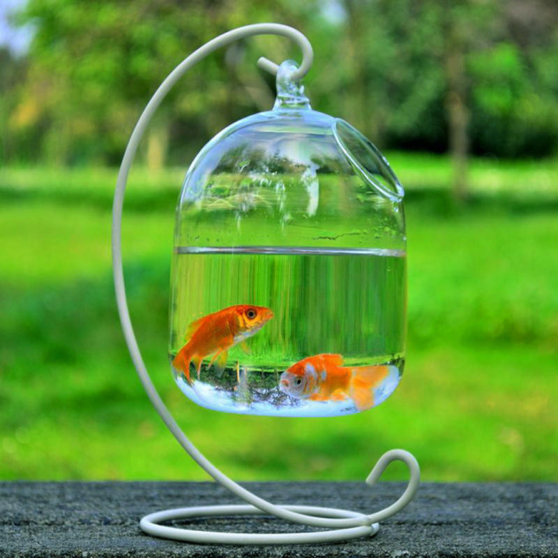 Hydroponic Wall Hanging Bubble Aquarium Fish Glass Diy Pot Vase Plant Home Decor