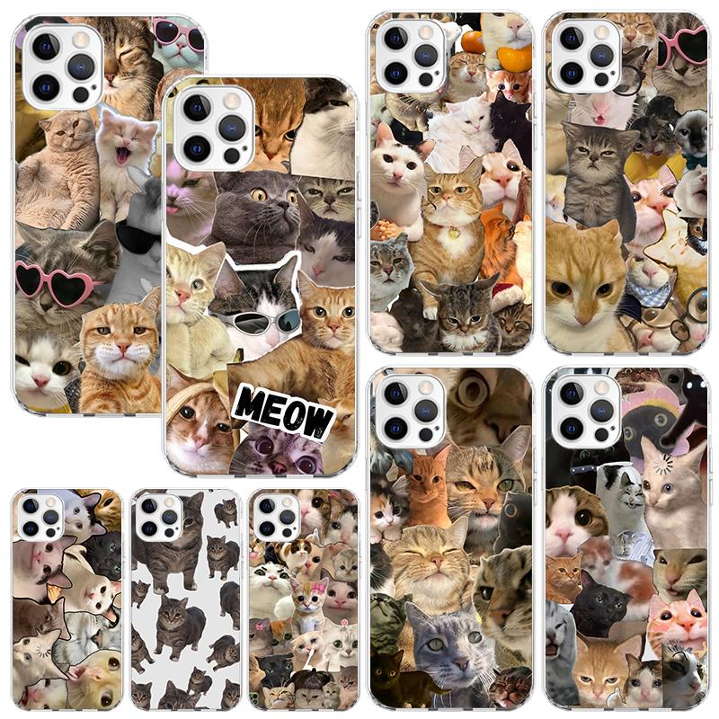 Crying Cat Memes Phone Case For Iphone 17 Air 16 15 Plus 16E 14 Pro Max 13 Mini 12 11 7 8 SE Fundas Soft Back Cover 17 Air 16 15