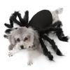 Pet Dog Halloween Spider Costume, Cat/Puppy Cosplay Spider Harness Costume Halloween Pet Dress Up Costumes Outfit, S