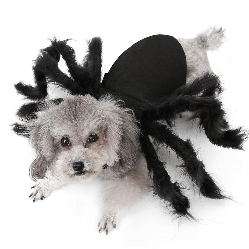 Pet Dog Halloween Spider Costume, Cat/Puppy Cosplay Spider Harness Costume Halloween Pet Dress Up Costumes Outfit, S