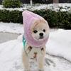 Comfortable Pet Head Cover Warm Pet Transformation Hat Cute Winter Pet Hat  Party