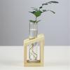 Decorative Hydroponic Tube Test Tube Vase Transparent Glass Universal Vases for Home