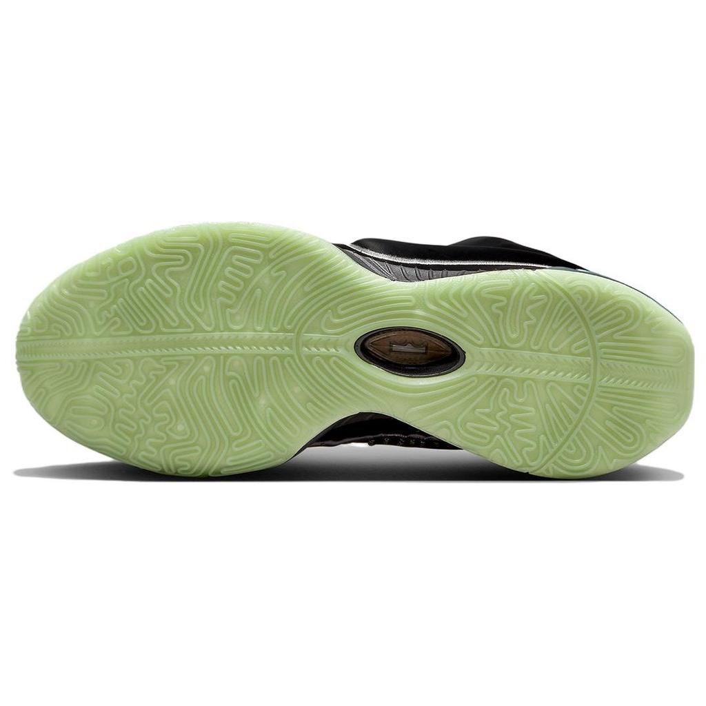 Nike Мужские кроссовки LeBron 21 Tahitian Black Particle-Grey Wolf-Grey FB2238-001