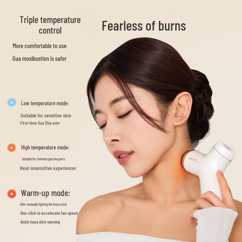 Aixiutang Smart Bianstone Moxibustion & Gua Sha Massager CN plug (adapter included)