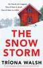 Книга The Snowstorm : An Absolutely Gripping, Pulse-pounding Thriller Packed with Twists