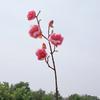 Real Touch Artificial Magnolia Branches Floral Art Fake Flower  Wedding Party Decor