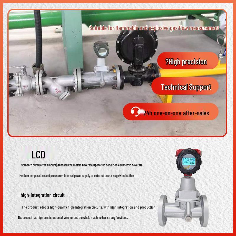 Explosion-Proof Aluminum Alloy Stainless Steel Nitrogen Swirl Flowmeter DN20