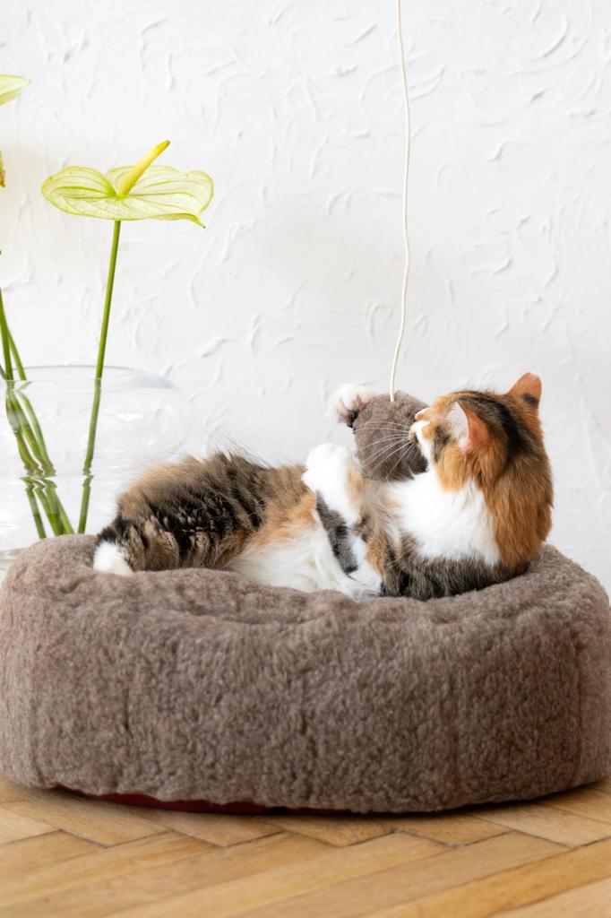 Oval Natural Wool Pet Bed - Beige 60 cm