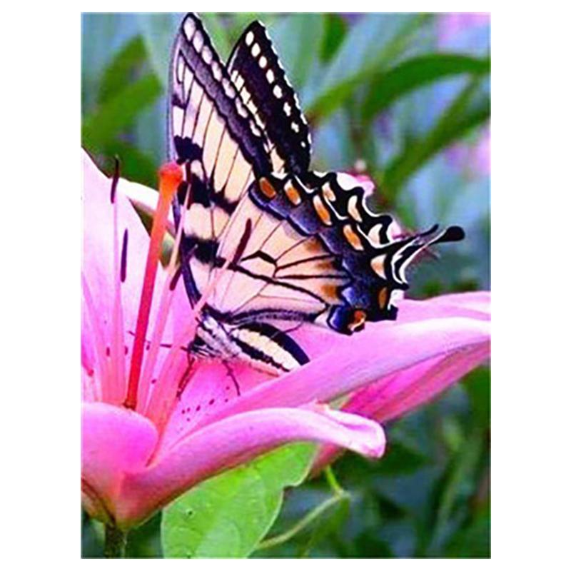 5D Diy Diamond Painting Butterfly Animal Cross Stitch Kit Full Drill Embroidery Mosaic Art Pictures of Rhinestones Home Decor