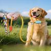 New Dog Leash: Small Dog Leash for Walking and Large Dog Anti-explosion, Knotted Pet Leash