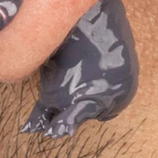 1 пара сережек-гвоздиков в виде бегемота, реалистичные 3D-фигурки животных, серьги-крючки, индивидуальные висячие серьги в преувеличенном стиле, украшения для ушей