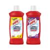 Дезинфицирующее средство для ванной комнаты Harpic, лимон - 1 л + цветочный - 1 л