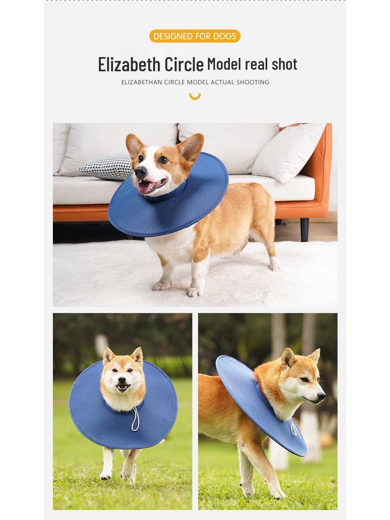 Дышащий влагопоглощающий сетчатый собачий елизаветинский воротник: Анти-Укус и Анти-Лизание