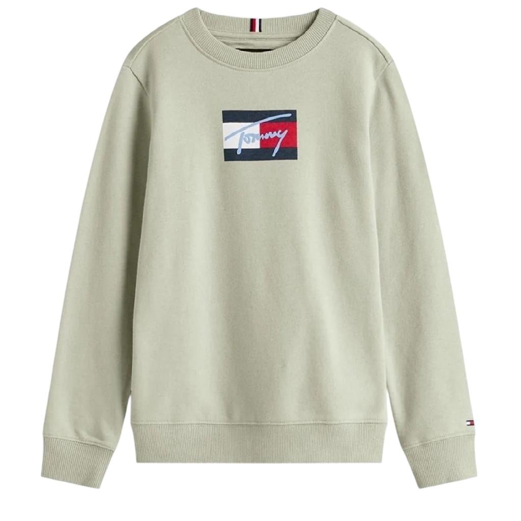 Tommy Hilfiger Childrens/Kids Cotton Blend Crew Neck Regular Sweatshirt