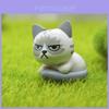 Модный набор из 6 шт. Каваий Закка Милая кукла грустного кота Очаровательные мини-мультяшные фигурки
