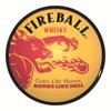 1pc, Fireball Whiskey Round Metal Sign, 20*20cm, Vintage Style, UV HD Printing, Aluminum, Indoor and Outdoor Decoration