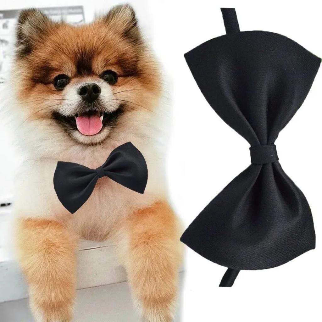 Ожерелье-бабочка для питомца