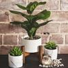 Искусственная ветка фикуса, искусственные зеленые растения, пальмовые листья, тропический кустарник, искусственное каучуковое дерево для дома, свадьбы, двора, декора W6Y4
