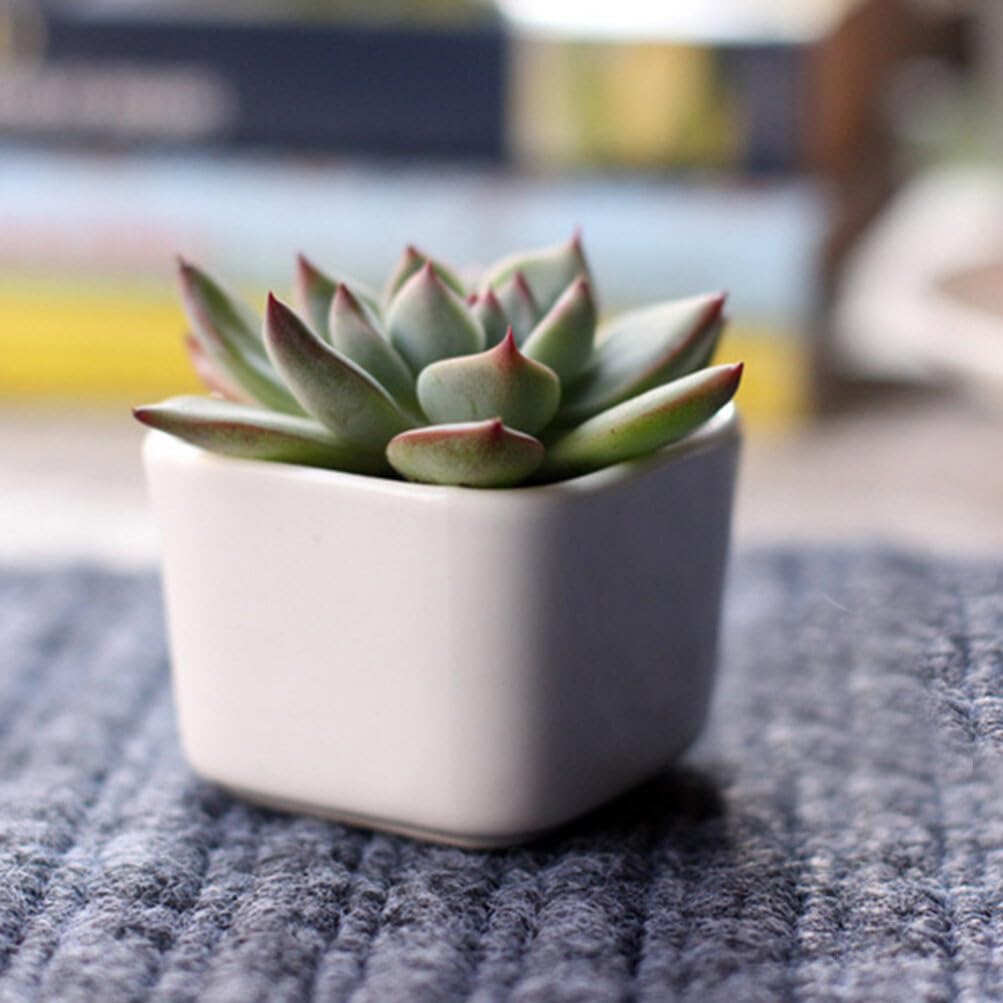 Amosfun Set of 3 Mini Ceramic Plant for and Baby Shower Simple Pots, White, Square, Tabletop, Succulents, Cacti, Herbs, Decorations. Design.