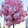 1 комплект розовых бантов для свадебной фотосессии, реквизит для помолвки, плавающий воздушный шар на День святого Валентина, латексные воздушные шары для украшения дня рождения