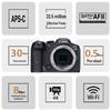 Canon EOS R7 Professional Mirrorless Camera (CN version)