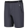 Regatta Mens Xert III Stretch Shorts
