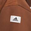 adidas Мужские толстовки для отдыха Коричневые с капюшоном Умеренный Обычный IQ1365