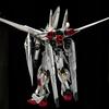 RG 1/144 Золотой Белый Вариант Акацуки Ооваши Отряд Титановое Покрытие SEED Destiny Сборная Модель Ганпла Фигурка Игрушка для Мальчиков Подарок
