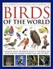 Книга Complete Illustrated Encyclopedia of Birds of the World