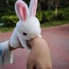 Плюшевые кролики Наручные браслеты-хлопушки для детей Плюшевые животные Наручные браслеты-щелчки Оптом Браслеты на запястье с кроликами Подарки для вечеринок