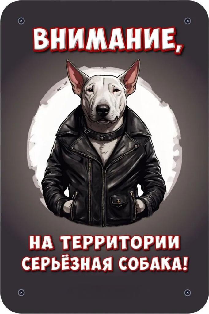 Металлическая табличка Осторожно Злая собака 30x20см Шпиц