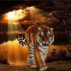 Алмазная вышивка крестом DIY Алмазная картина Полный алмаз Тигр Стразы Украшение дома