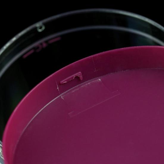 Диспенсер для теста для блинов Не содержит бисфенол А Герметичная конструкция Легко чистить Точные линии измерения Эргономичная ручка Кухонная утварь