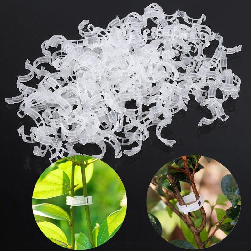 50/100pcs Reusable Plastic Plant Clips Supports Connects Protection Grafting Fixing Tool Gardening Supplies for Vegetable Tomato