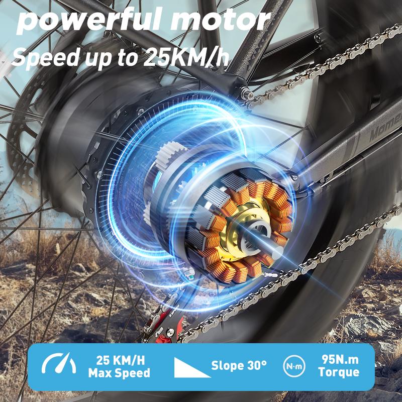 Electric Bicycle Burchad Rx20 750W Peak Motor 26" Fat Tire All Terrain Adult Electric Bike 48V 20Ah Dual Disc Brakes 7 Speed LCD Display
