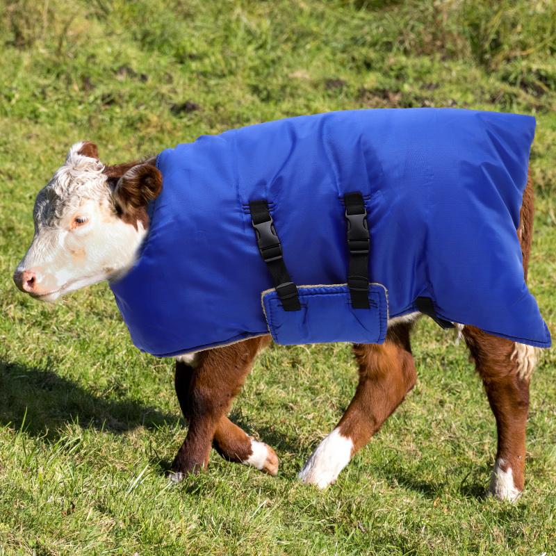 Cow Calf Vest Calf Cold Calf Warm Clothing Farm Calf Vest Warm Clothing Winter Coat Warm Apparel Pasture Supplies