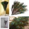 Nice-looking Peacock Feathers Unique Natural Decorative