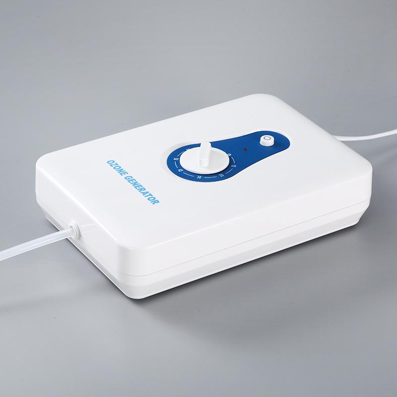 600mg Ozone Generator Fruit and Vegetable Purifier for Home