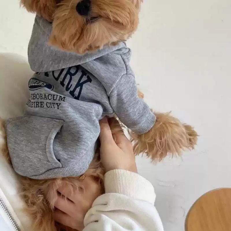 Luxury Dog Hoodies Warm Soft Dog Clothes Cute Pet Vest Letter Print Puppy Sweatshirts Autumn Cat Pullover Pet Top Poodle Outfits