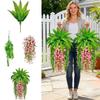UV Resistant Morning Glory Boston Fern Hanging Vine Persian Leafs Flower Kit  Home Decor