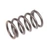 Valve Spring Cedrus Foot St01 070635