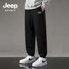 Мужские джоггеры JEEP SPIRIT из плотного материала с принтом логотипа