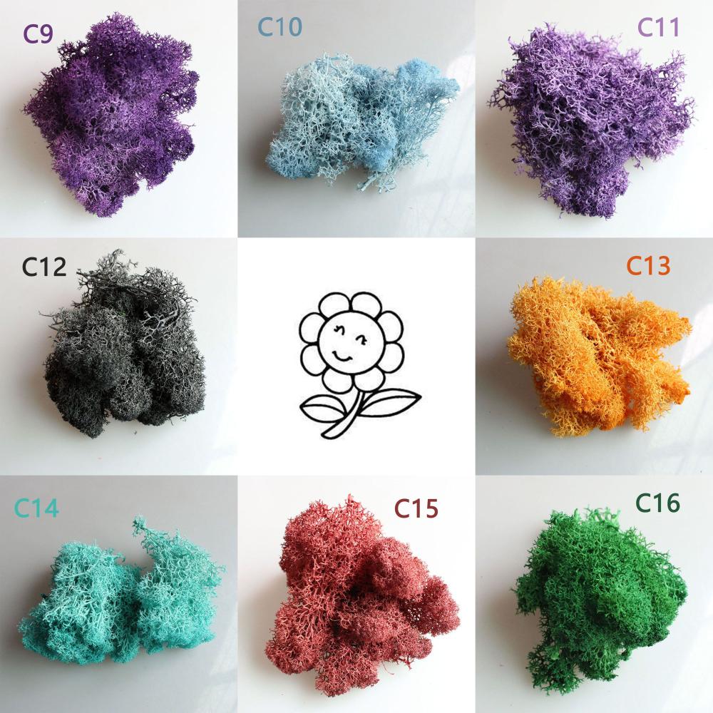 Украшение Рождественский цветок Искусственное растение Мох олений Вечный мох Микроландшафт